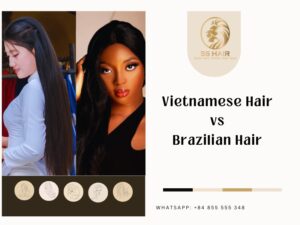 vietnamese hair vs brazilian hair
