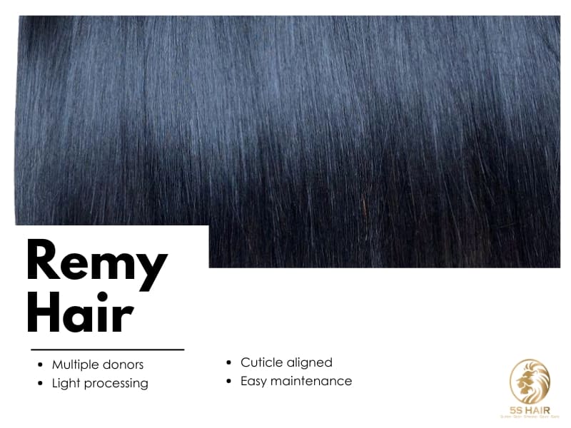 Remy Vietnamese hair