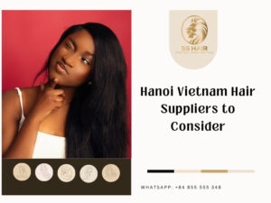 hanoi vietnam hair suppliers